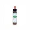 Dr.Bach Bach Recovery Remedy 10ml