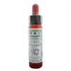 Dr.Bach Cherry Plum Bach Flower Remedy 10ml