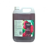 Faith in Nature Raspberry & Cranberry Shampoo 5L