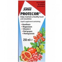 floradix Protecor Liquid Supplement 250ml