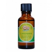 natural by nature Lavender Organic Essential Oil 30ml