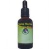 swiss herbal remedies Echinacea 50ml