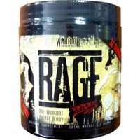 Warrior Rage Reborn Fruit Punch 320g