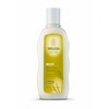 Weleda Millet Nourishing Shampoo 190ml