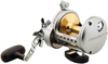 Daiwa Saltist Reel