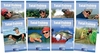 Matt Hayes Total Fishing DVDs