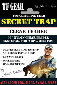 TFG Clear Leaders