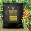 Carbon Gold Biochar Seed Compost 10l