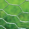 Chicken Wire Netting (1.8m X 25m)