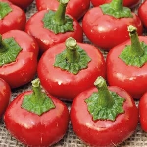 Chilli Pepper Cherry Bomb (3 Plants) Organic