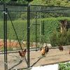 Steel Chicken Cages & Poultry Cages