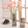 0.7 M 3 Head High Simulation Cosmos Small Daisy Africa Cosmos Simulation Flower 1 pc 70cm miniinthebox