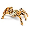 1 Pc Halloween Decorations Halloween Spider Decorations