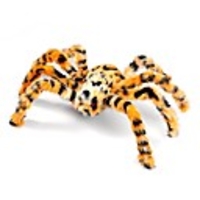 1 Pc Halloween Decorations Halloween Spider Decorations