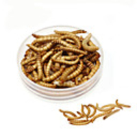1 pcs Fishing Bait Worm Sinking Bass Trout Pike Carp Fishing Soft Plastic