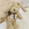 1 pcs Stuffed Animal Plush Toys Plush Dolls Stuffed Animal Plush Toy Rabbit Animals Cute Goose Feather Imaginative Play,  Stocking,  Great Birthday Gifts Party Favor Supplies All Kids Teenager