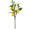 1 Piece Artificial Lemon Fruit Branch Display Living Room Simulation Plants Decor 2060cm miniinthebox