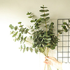 1 Piece Artificial Plants Leaves Home Decor Simulation Eucalyptus Leaves Wedding Party Display