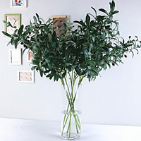 10 Forks Olive Branch With Fruit Flower Imitation Botanical Bouquet 10335cm miniinthebox