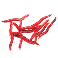 10 pcs Fishing Lures Soft Bait Bass Trout Pike Sea Fishing Freshwater Fishing Bass Fishing Rubber