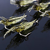 10 pcs Fishing Lures Soft Bait Jerkbaits Craws / Shrimp Floating Sinking Bass Trout Pike Sea Fishing Fly Fishing Bait Casting Soft Plastic Silicon / Spinning / Jigging Fishing / Freshwater Fishing