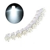 10 White LED T12 Car Bulbs with 6 LED