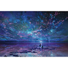 1000 pcs Cartoon Galaxy Starry Sky Funny Family Games Jigsaw Puzzle Puzzles Game Adult Puzzle Jumbo Wooden Galaxy sky Snowflake Princess Greece Sunflower Kids Adults