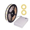 100CM 3.28ft LED Light Strips Waterproof Tiktok Lights SMD5050 10mm Warm White Cold White Red Blue Green Ribbon Light AA Battery Powered DC 4.5V