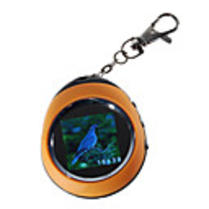 1.5" LCD Rechargeable Digital USB Photo Frame Keychain (143-Picture Memory Storage)
