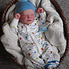 17.5 inch Reborn Doll Baby Toddler Toy Reborn Baby Doll Saskia Newborn lifelike Hand Made Simulation Floppy Head Cloth Silicone Vinyl with Clothes and Accessories for Girls