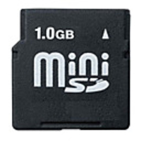 1GB OEM Mini SD Memory Card