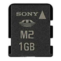 1GB Sony M2 Memory Card