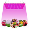 1pc 81LEDs 169 LEDs Indoor LED Grow Light Plant Growing Lamp Red Blue Full Spectrum For Indoor Hydroponic Plant