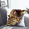 1pc Cushion Cover with Pillow Insert Double Print 38x38cm / 45x45cm Polyester Cat 3D Effect