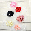 1pcs Toddler Girls