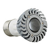 1W LED Light Bulb (0941-CEG632)