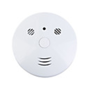 2-in-1 Working Smoke Detector Alarm + Hidden Spy Pin Hole CCD Video Camera (PAL/110~240V AC)