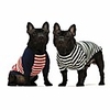 2-pack 100% cotton striped dog shirt for pet clothes puppy t-shirts cat tee breathable stretchy green blue white xxl