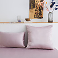 2 pcs Water Washed Silk Pillow Cover,  Solid Colored Square Traditional Classic