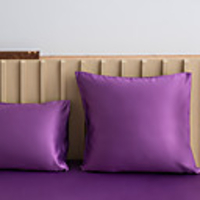 2 pcs Water Washed Silk Pillow Cover,  Solid Colored Square Traditional Classic