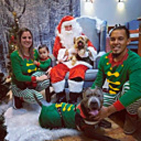 2 Piece Family Look Santa Claus Graphic Print Long Sleeve Regular Clothing Set Green