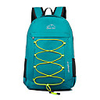 20-35 L Hiking Backpack Lightweight Packable Backpack Rain Waterproof Quick Dry Foldable Compact Outdoor Hiking Camping Nylon Green Blue Violet / Wear Resistance