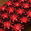 20 LEDs Colorful Star Light String(CIS-84145)