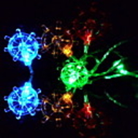 20 LEDs Colorful Wind Wheel Light String(CIS-84137)