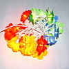 20 Lights Colorful Rose Light String(CIS-84143)