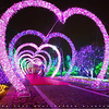 20m String Lights Outdoor String Lights 200 LEDs 1pc Warm White Blue Multi Color Decorative 220-240 V miniinthebox