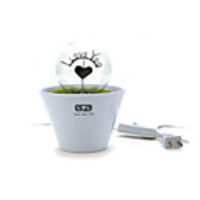 220V Fireworks Night Lights - Hearts