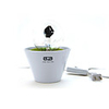 220V Fireworks Night Lights - Rose