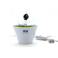 220V Fireworks Night Lights - Rose