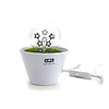 220V Fireworks Night Lights - Stars